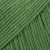 78 Forest Green (New!)